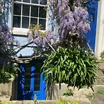 Cosy Garden Flat With Work Space Near Clifton