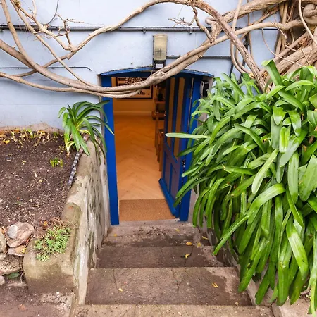 Cosy Garden Flat With Work Space Near Clifton Апартаменты *