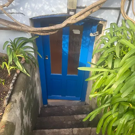 דירה Cosy Garden Flat With Work Space Near Clifton