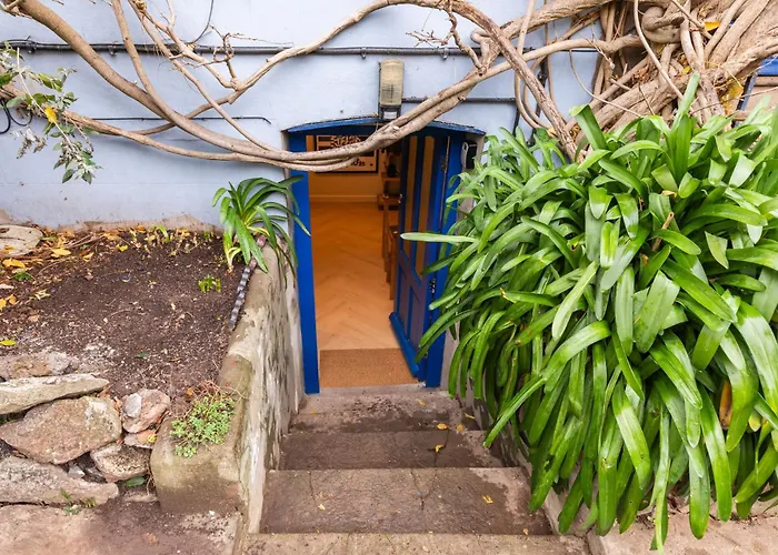 Cosy Garden Flat With Work Space Near Clifton Appartement *