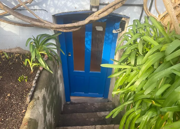 Daire Cosy Garden Flat With Work Space Near Clifton